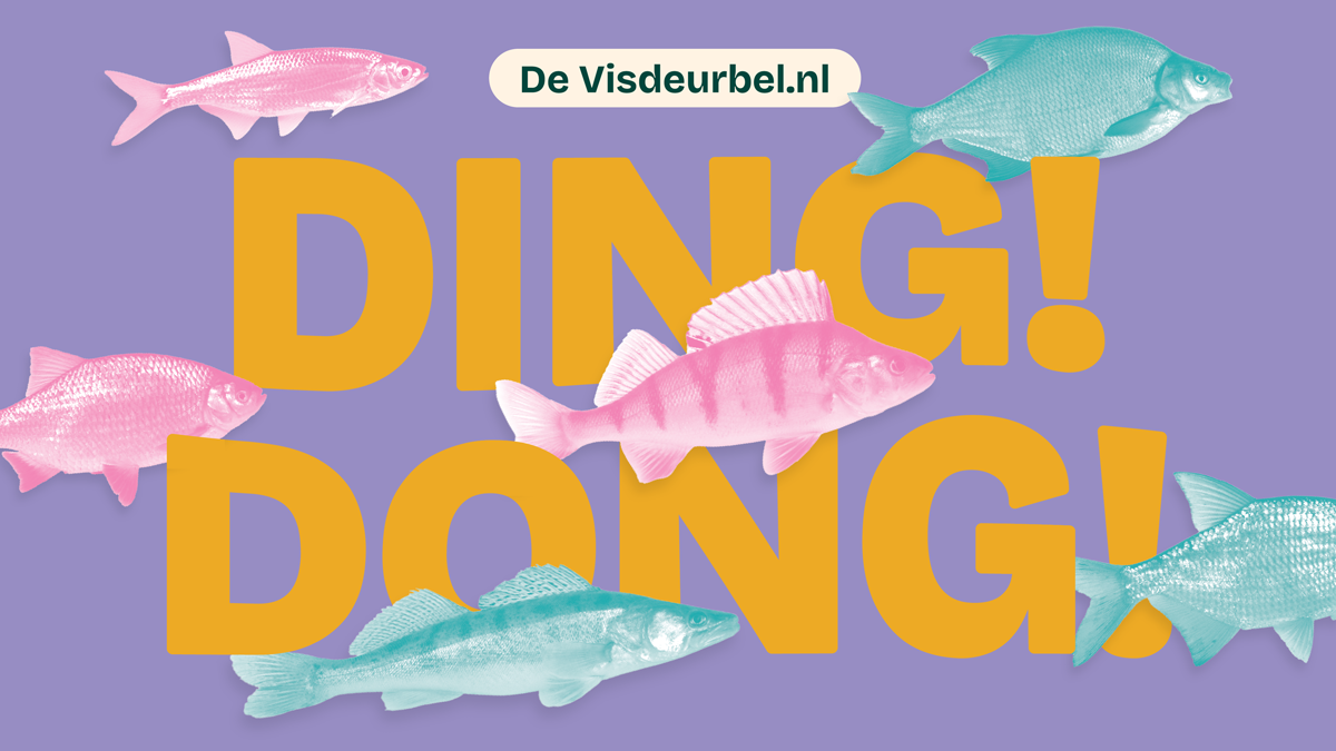 Dan kan onze sluiswachter de vissen doorlaten. Niks te zien? Kijk dan het Visdeurbel Journaal en zie de vissen van afgelopen week.  We snappen dat je 